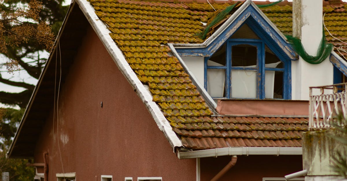 Hiring a Professional for Colorbond Roof Replacement on Clay Tiles